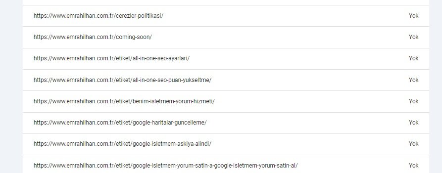 Keşfedildi - Dizine Eklenmedi Hatası