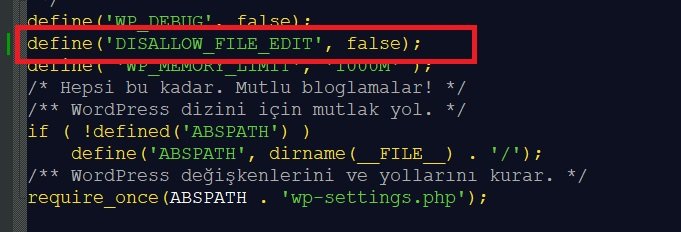 Wordpress Tema Düzenleyici Yok Görünmüyor