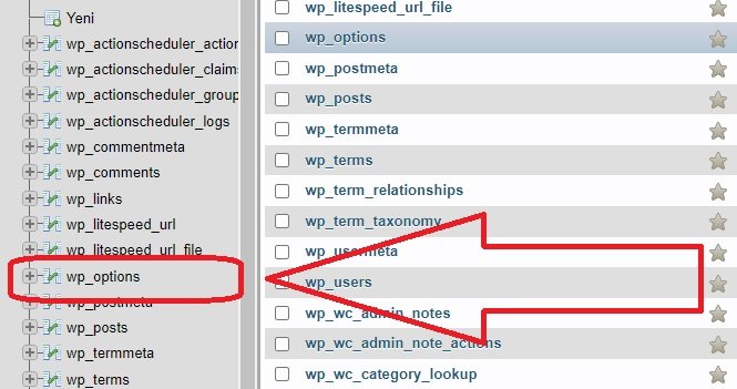 Wordpress tema değiştirdim sitem patladı hatası