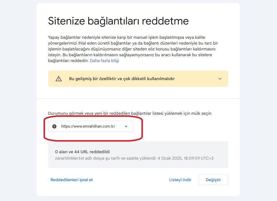 Google Disavow Zararlı Backlink Engelleme
